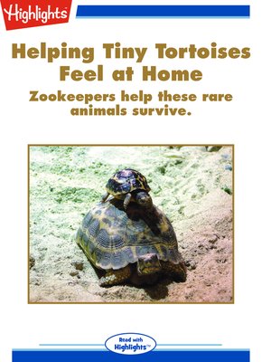 cover image of Helping Tiny Tortoises Feel at Home